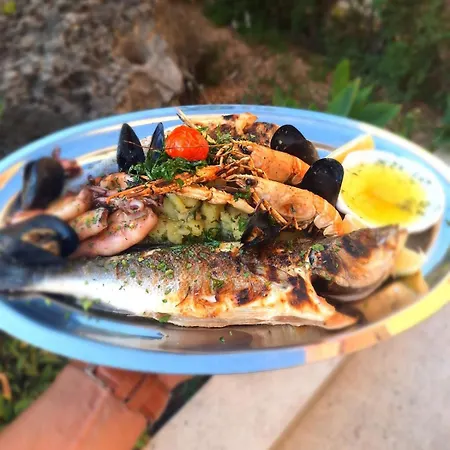 Hotel Trogir Hotel 3*