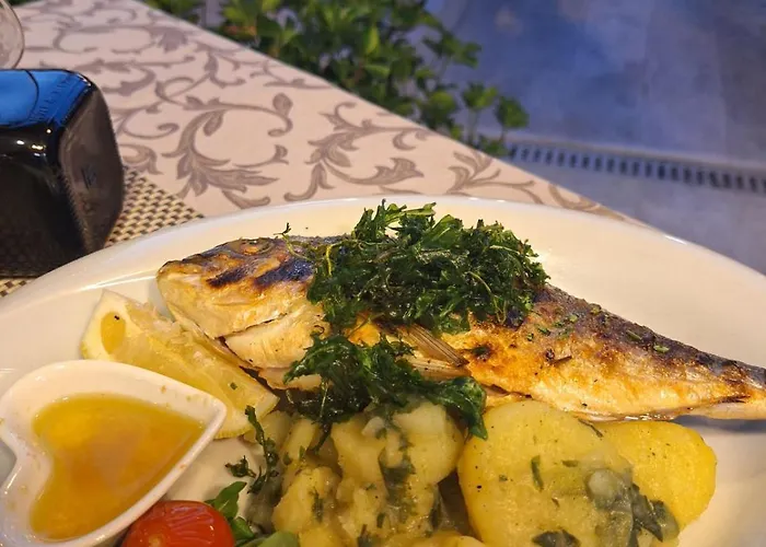 托里吉尔酒店 特罗吉尔